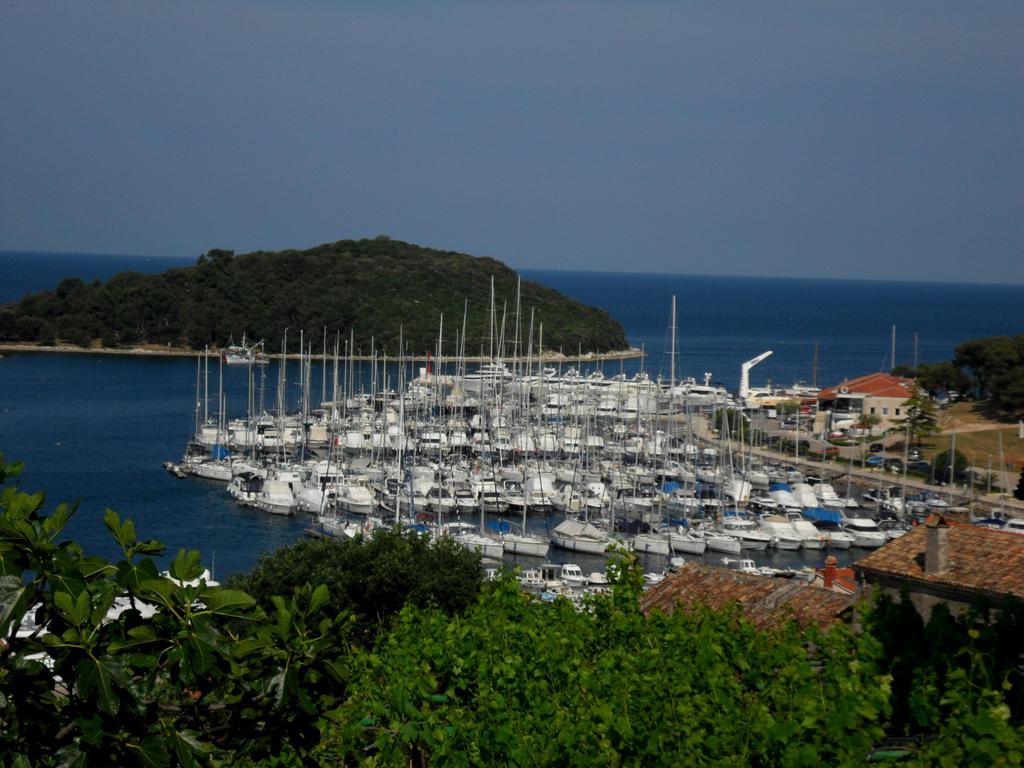 Degrassi Square Apartments (Adults Only) Vrsar Bagian luar foto